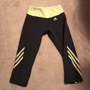 Active wear pants